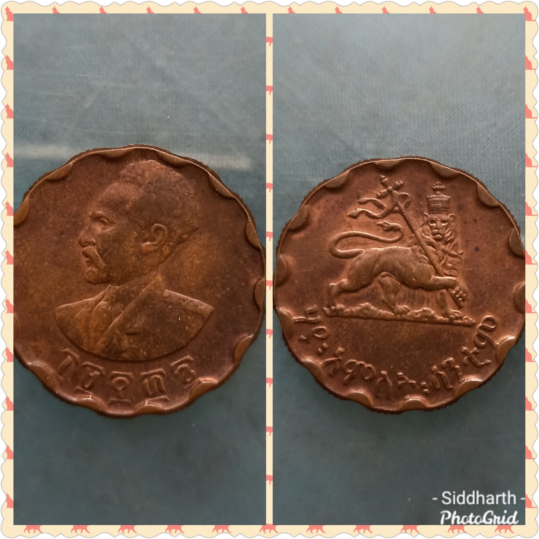 Obverse and reverse of a historic Ceylon coin with a crowned portrait and lion