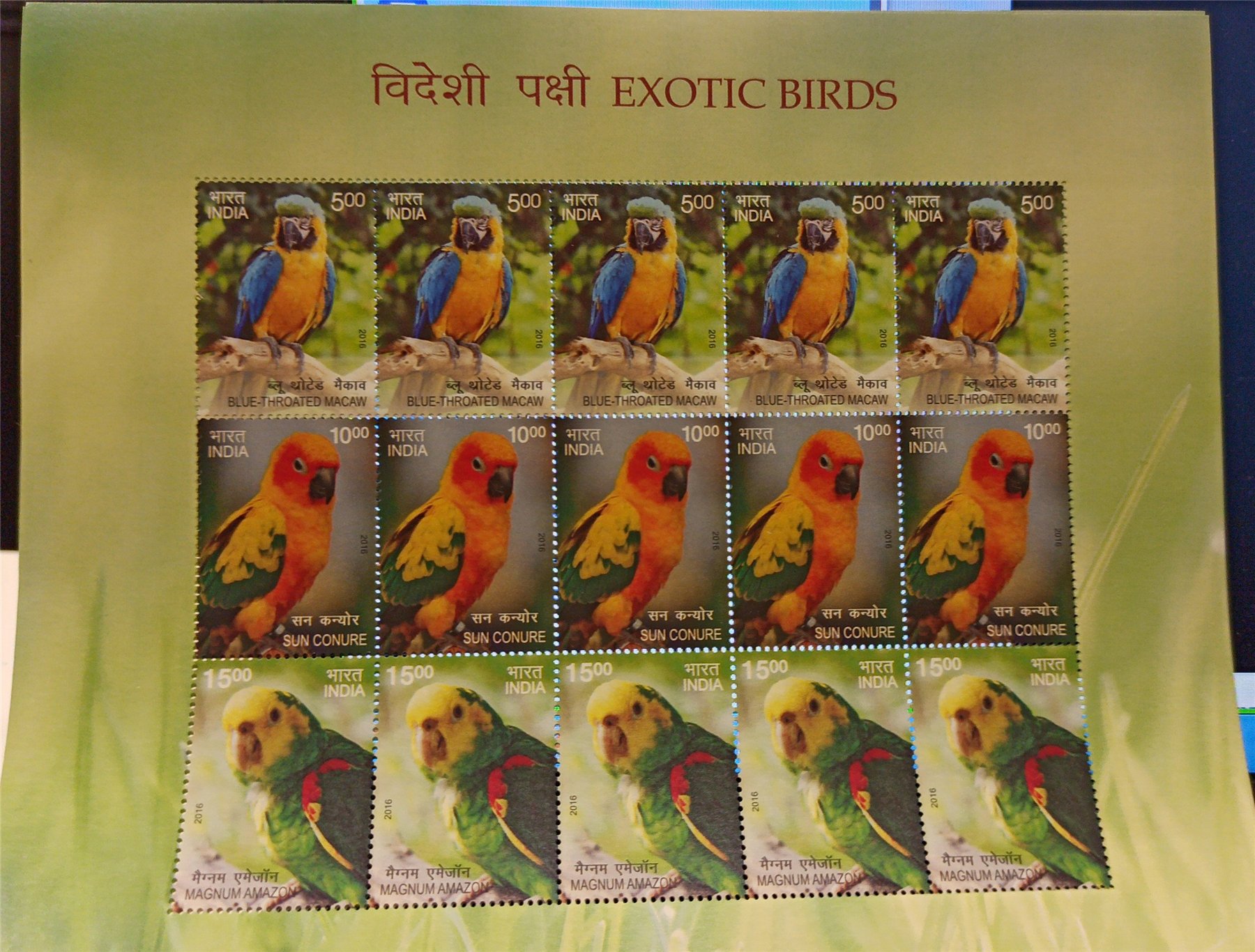 Indian Exotic Birds stamp sheet featuring macaws and a sun conure