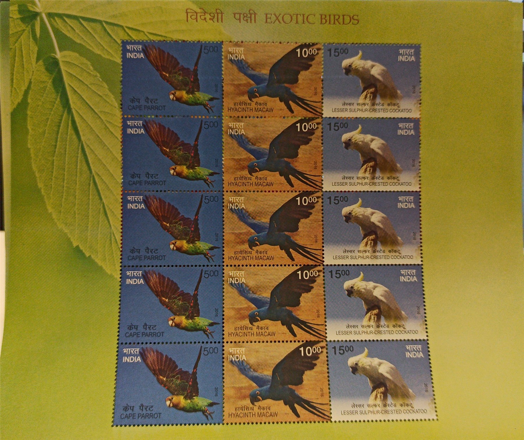 Indian Exotic Birds stamp sheet featuring a Cape parrot, hyacinth macaw and cockatoo