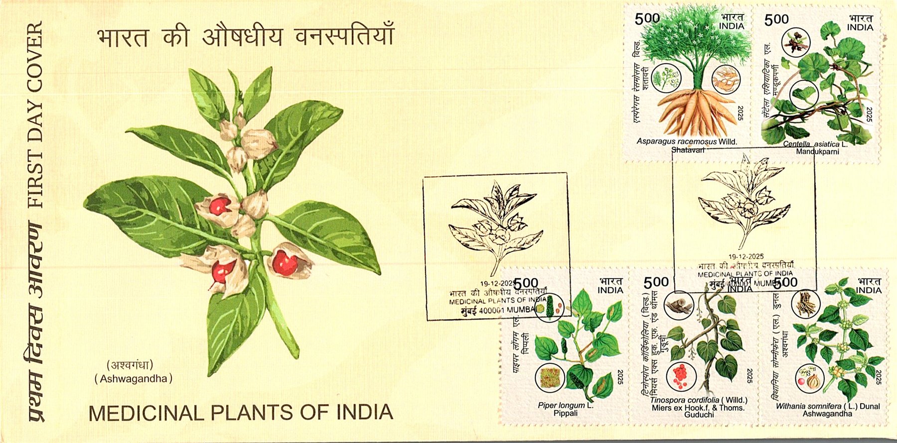 First Day Cover featuring medicinal plants of India